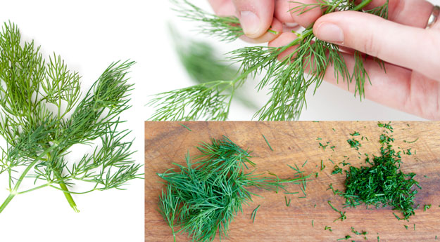 How to store dill in the refrigerator for the winter video