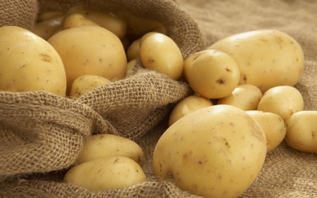 Ways to store potatoes in the apartment